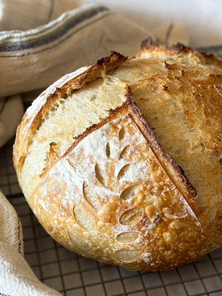 beginner-sourdough-recipe-768x1024